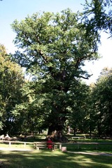 Killikus&reg; Fotographie